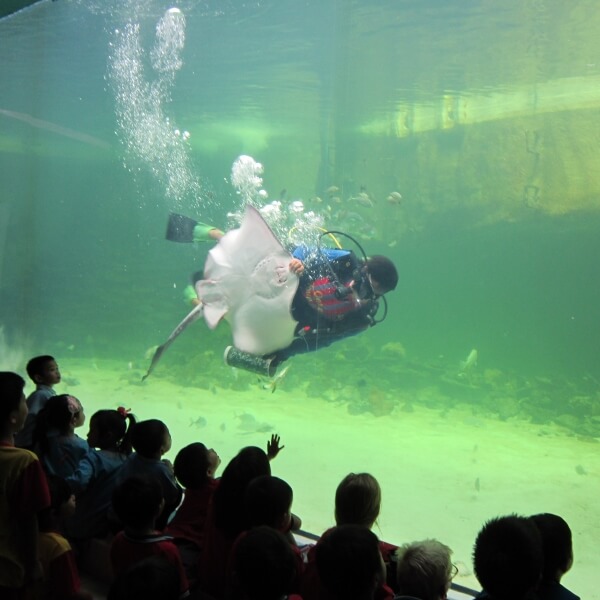 Year 1 Visit Green Connection