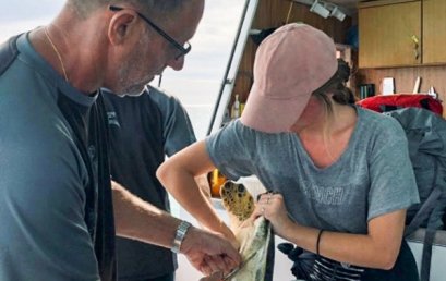 Marine Turtles Research Field Trip