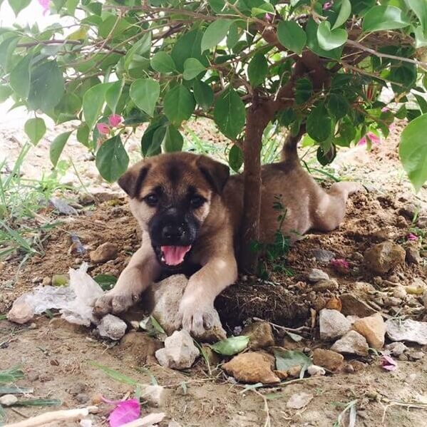 Charity News, 23.03.19 Charity News, 23.03.19