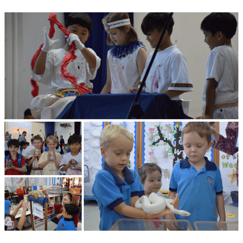 From the Head of Primary 15.02.2020