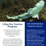 Coral Reef Conservation