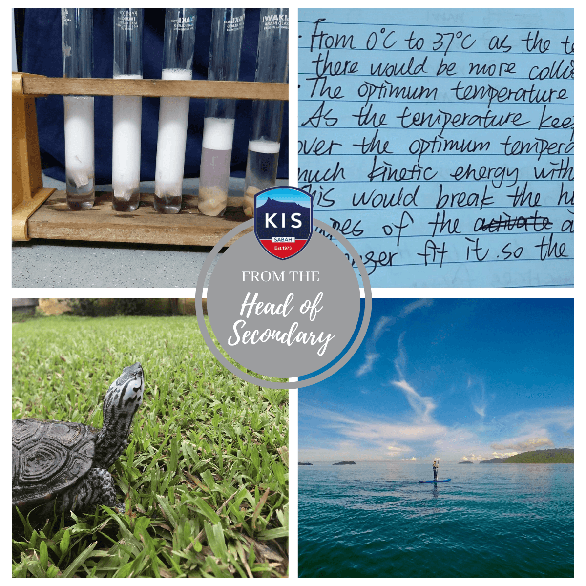 From the Head of Secondary 28.11.2020