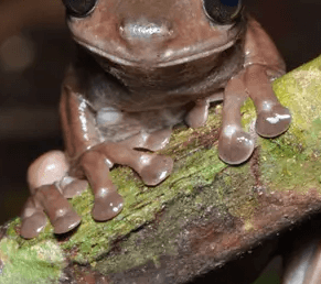 From the Head of Secondary 05.06.2021