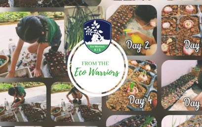 From the Eco Warriors 22.01.2022