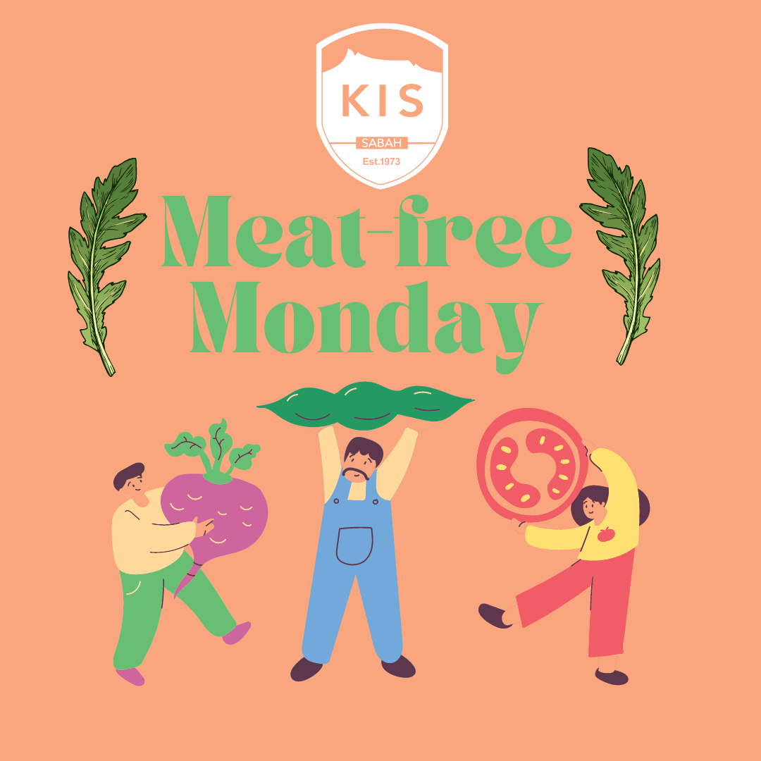 From the Eco Warriors 18.03.2023