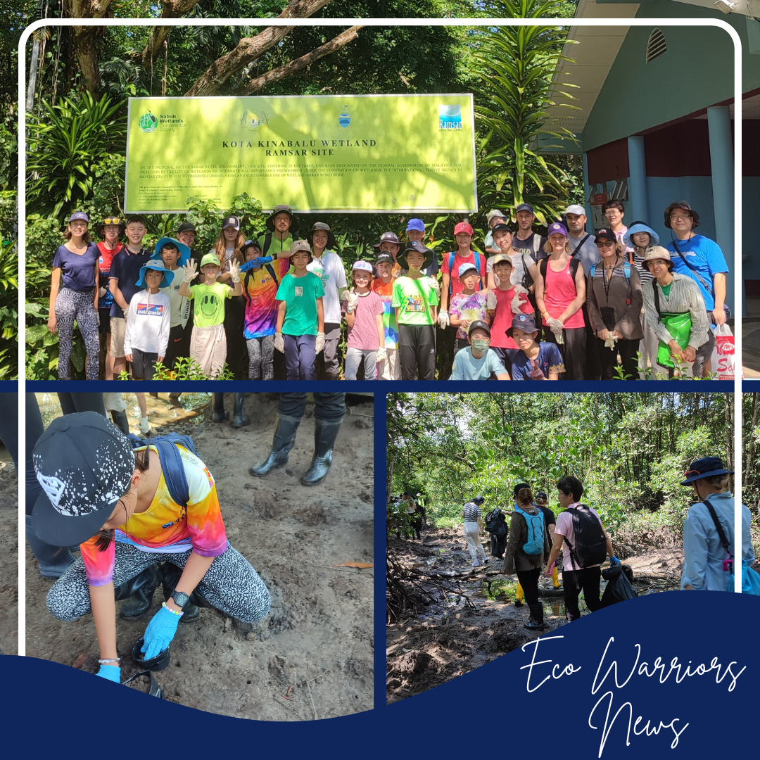 From the Eco Warriors 23.09.2023