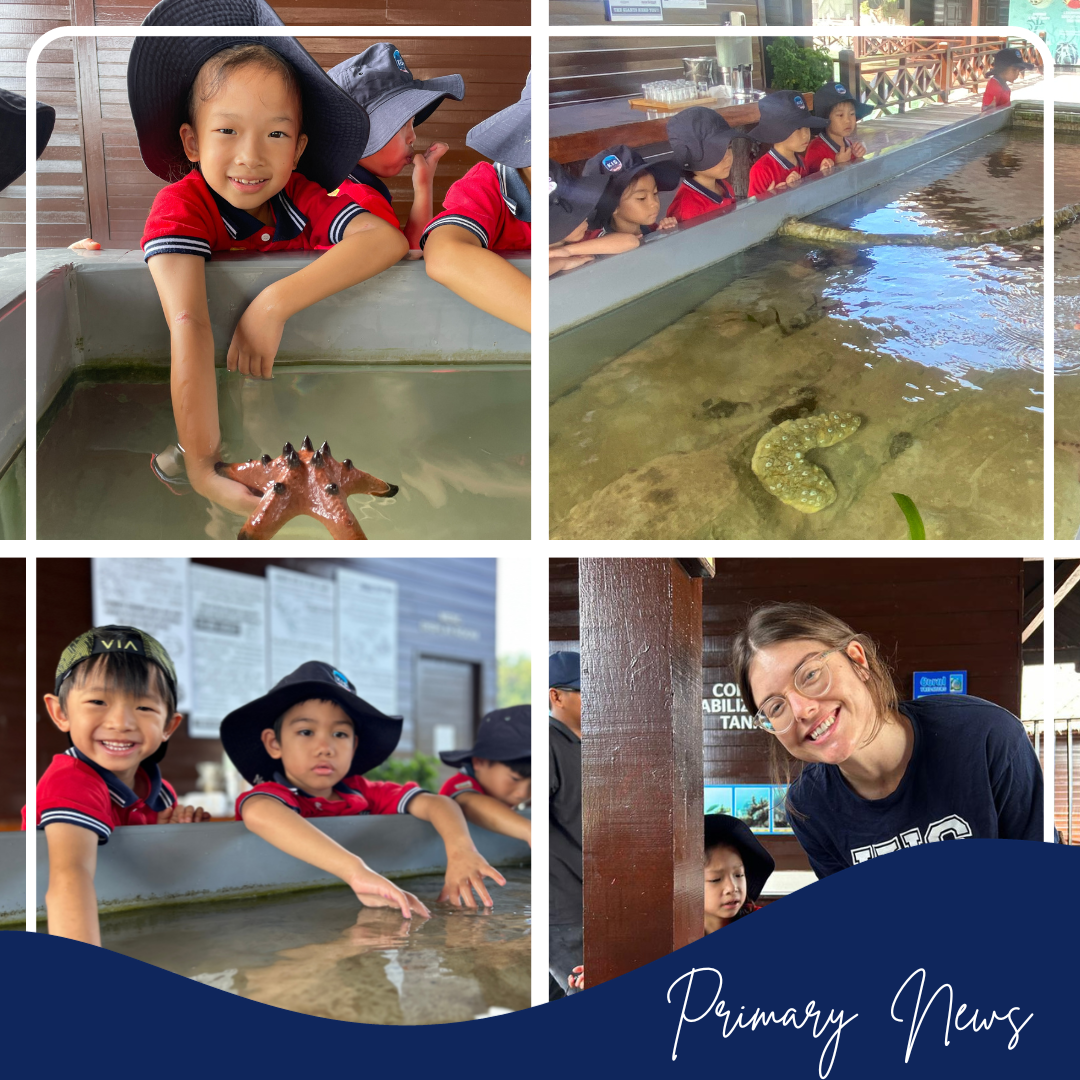 From the Head of Primary 25.11.2023