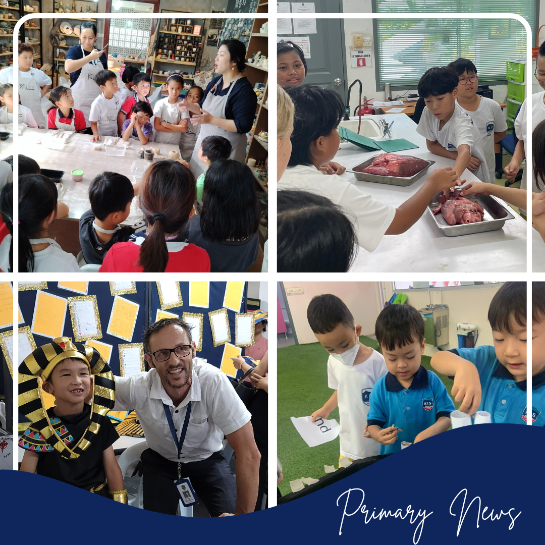 From the Head of Primary 18.11.2023