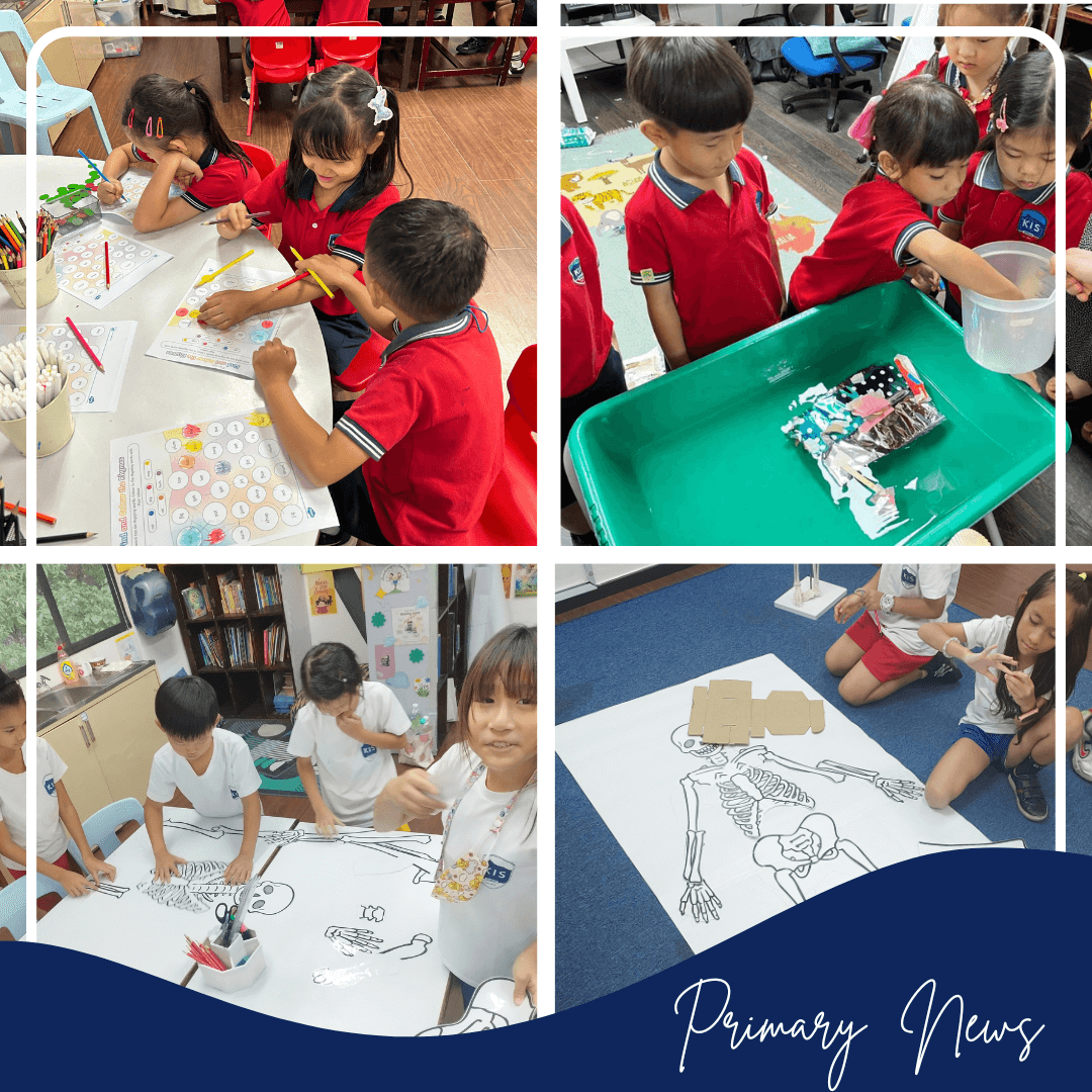 From the Head of Primary 20.1.2024