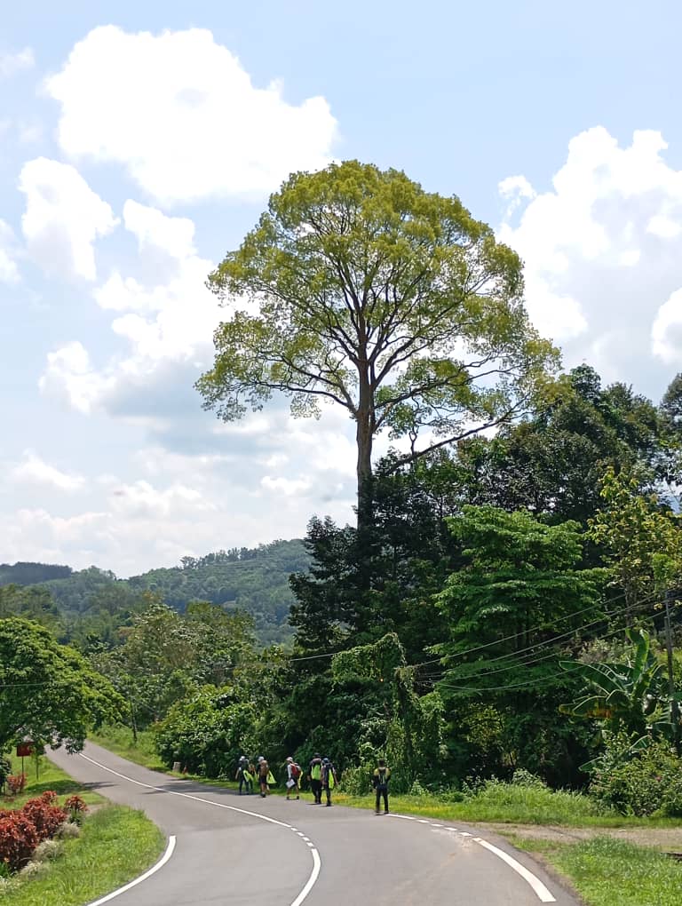 KIS DUKE OF EDINBURGH 10.05 (4)